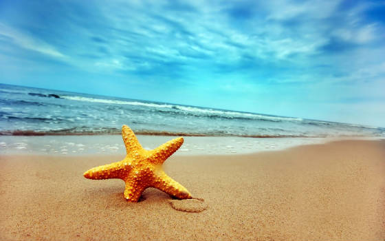 summerphotos.jpg